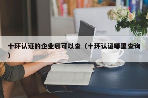 十环认证的企业哪可以查（十环认证哪里查询）