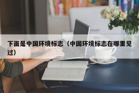 下面是中国环境标志（中国环境标志在哪里见过）