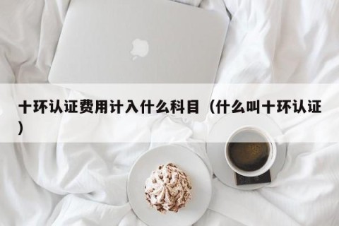 十环认证费用计入什么科目（什么叫十环认证）