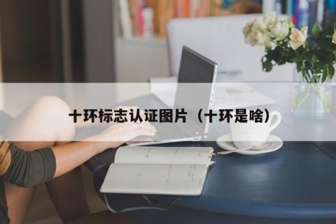 十环标志认证图片（十环是啥）