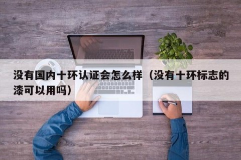 没有国内十环认证会怎么样（没有十环标志的漆可以用吗）