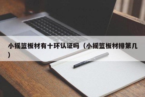 小摇篮板材有十环认证吗（小摇篮板材排第几）