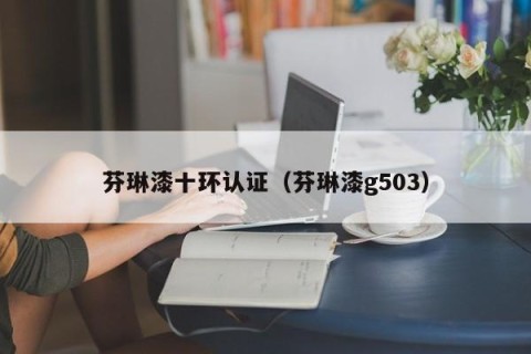 芬琳漆十环认证（芬琳漆g503）