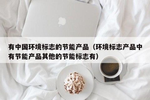 有中国环境标志的节能产品（环境标志产品中有节能产品其他的节能标志有）