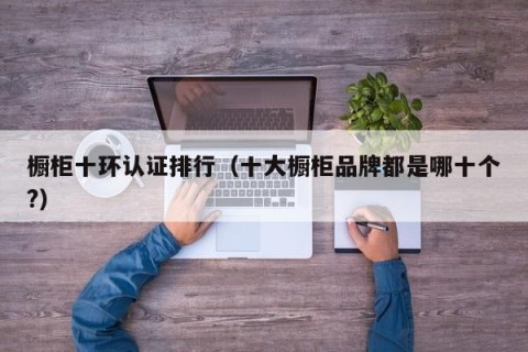 橱柜十环认证排行（十大橱柜品牌都是哪十个?）