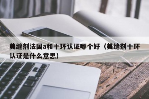 美缝剂法国a和十环认证哪个好（美缝剂十环认证是什么意思）