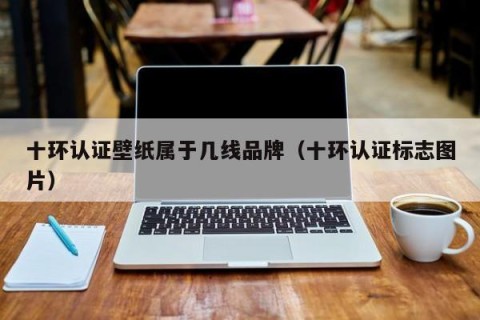 十环认证壁纸属于几线品牌（十环认证标志图片）