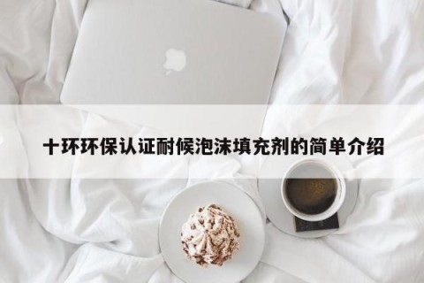 十环环保认证耐候泡沫填充剂的简单介绍