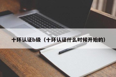 十环认证b级（十环认证什么时候开始的）