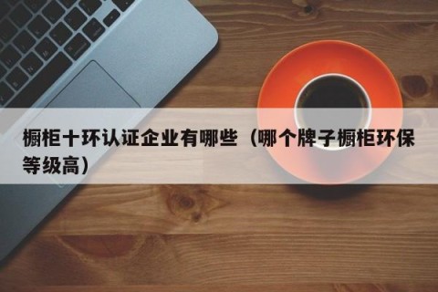 橱柜十环认证企业有哪些（哪个牌子橱柜环保等级高）