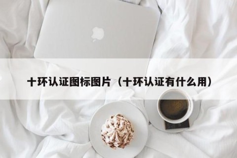 十环认证图标图片（十环认证有什么用）