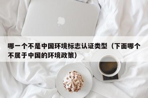 哪一个不是中国环境标志认证类型（下面哪个不属于中国的环境政策）