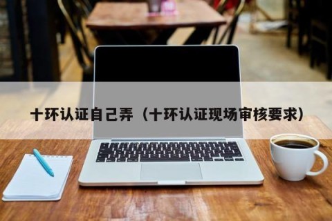 十环认证自己弄（十环认证现场审核要求）