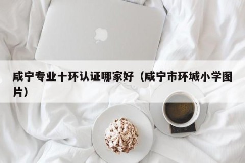咸宁专业十环认证哪家好（咸宁市环城小学图片）